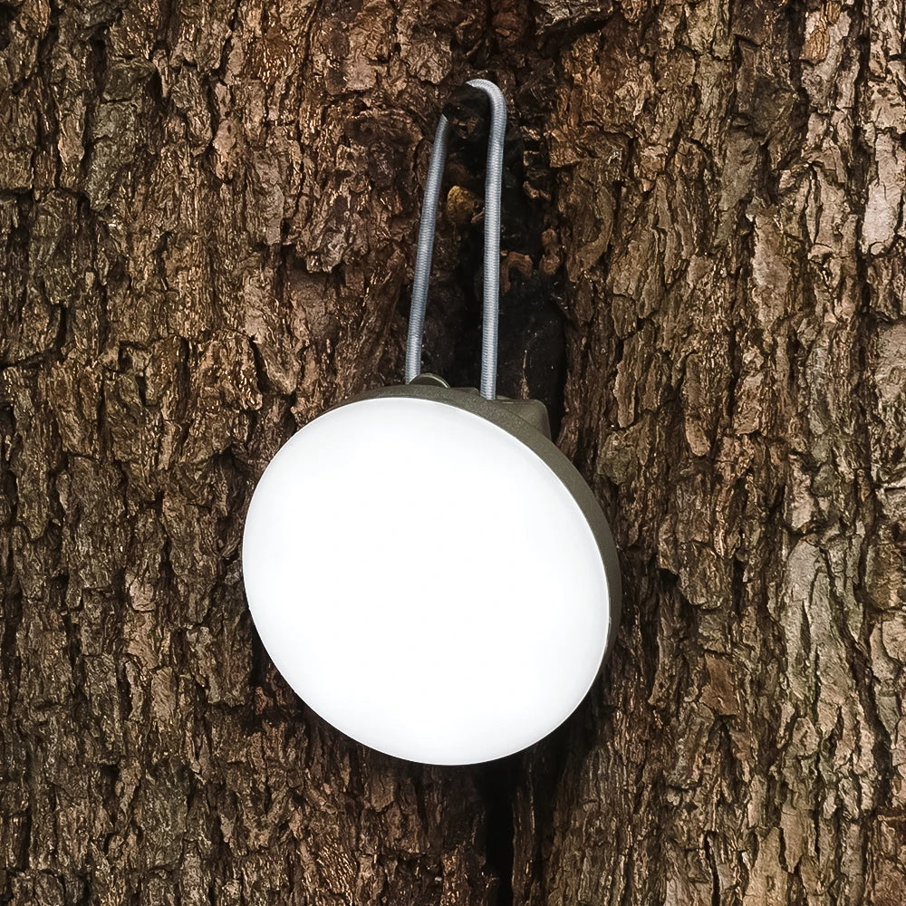 Wireless Carp Fishing Alarm Set w/ Camping Light Waterproof Bite Indicator