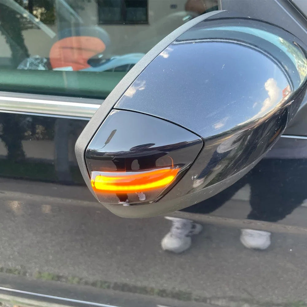Dynamic LED Side Mirror Turn Signal Light for Ford S-Max 07-14 Kuga C394 08-12