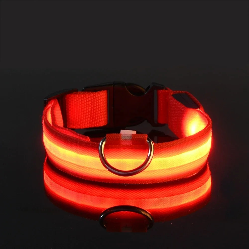 LED Dog Collar Glow-in-the-Dark, Safety Flashing Nylon Pet Collar luminous HiVis