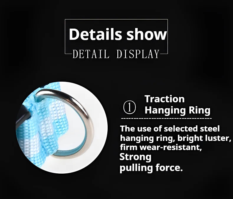 LED Dog Collar Glow-in-the-Dark, Safety Flashing Nylon Pet Collar luminous HiVis