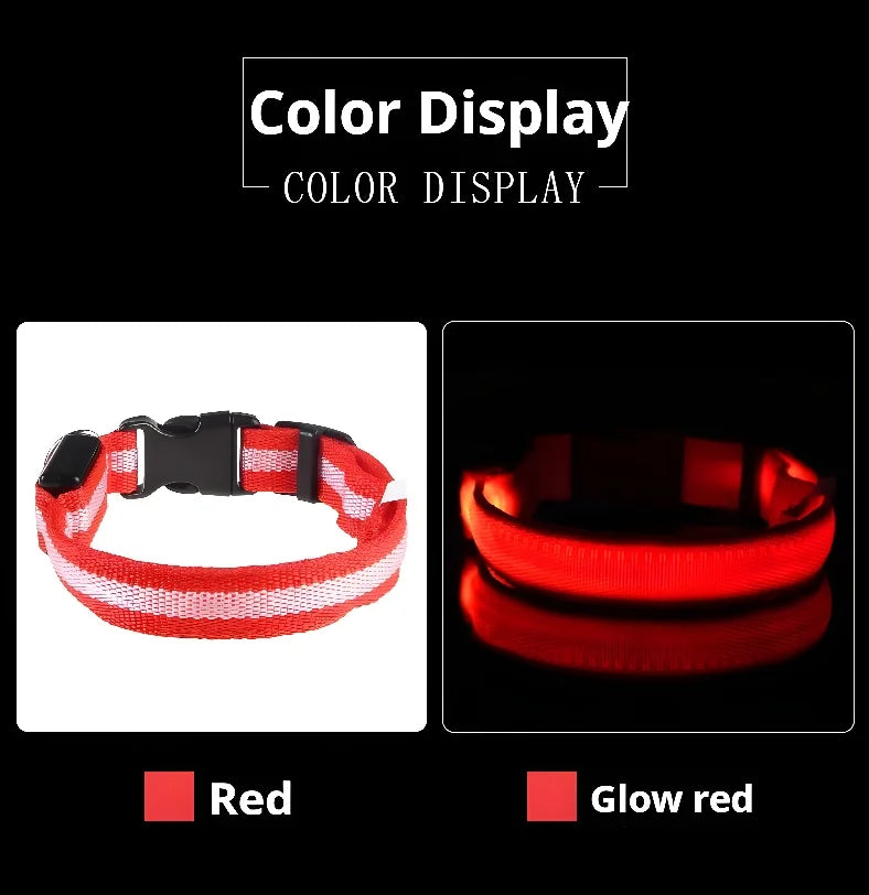 LED Dog Collar Glow-in-the-Dark, Safety Flashing Nylon Pet Collar luminous HiVis