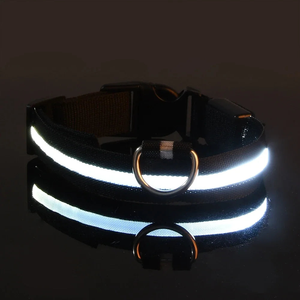 LED Dog Collar Glow-in-the-Dark, Safety Flashing Nylon Pet Collar luminous HiVis