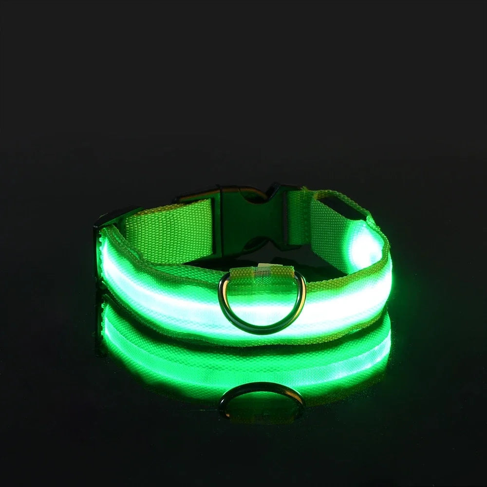 LED Dog Collar Glow-in-the-Dark, Safety Flashing Nylon Pet Collar luminous HiVis