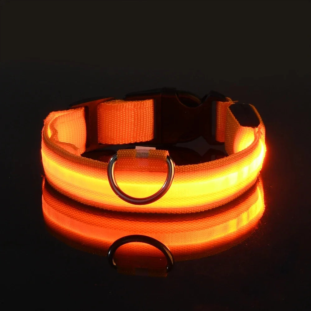 LED Dog Collar Glow-in-the-Dark, Safety Flashing Nylon Pet Collar luminous HiVis