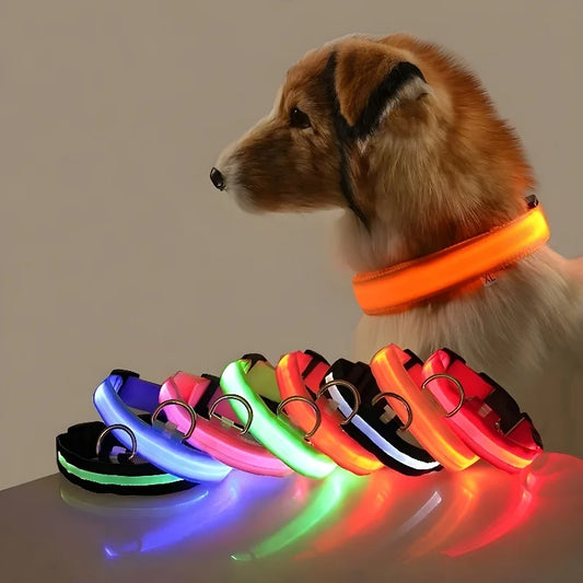 LED Dog Collar Glow-in-the-Dark, Safety Flashing Nylon Pet Collar luminous HiVis