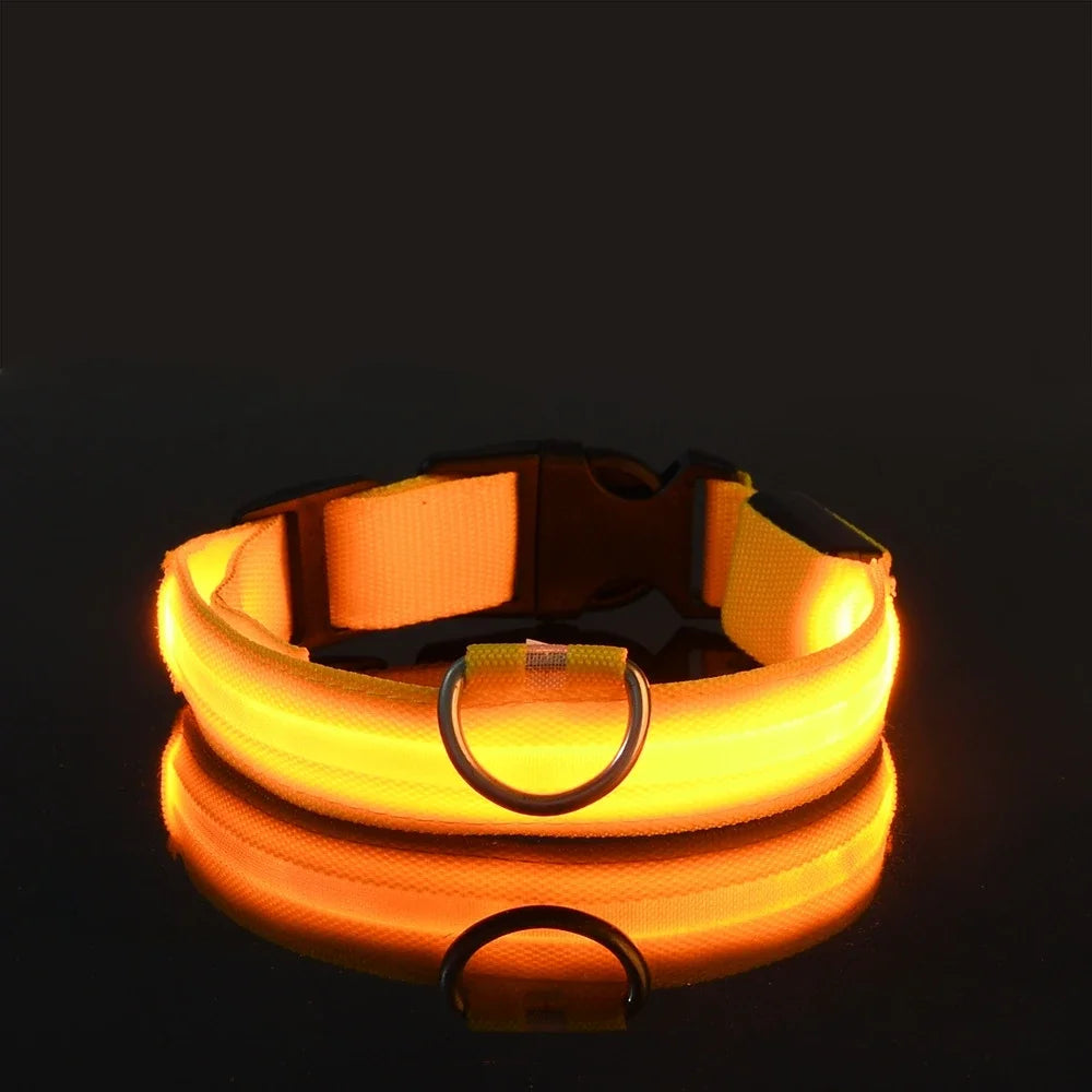 LED Dog Collar Glow-in-the-Dark, Safety Flashing Nylon Pet Collar luminous HiVis